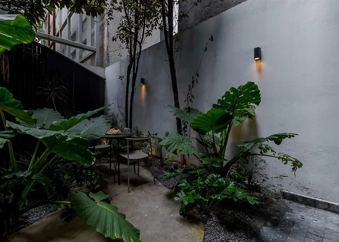 Capitalia Casa Calderon 1br Leafy Vibes W Patio * Mexico City