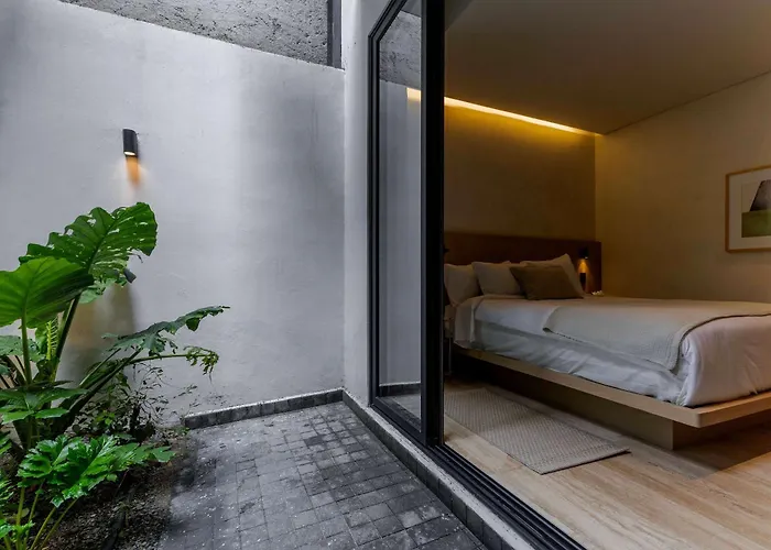 Capitalia Casa Calderon 1br Leafy Vibes W Patio Mexico City